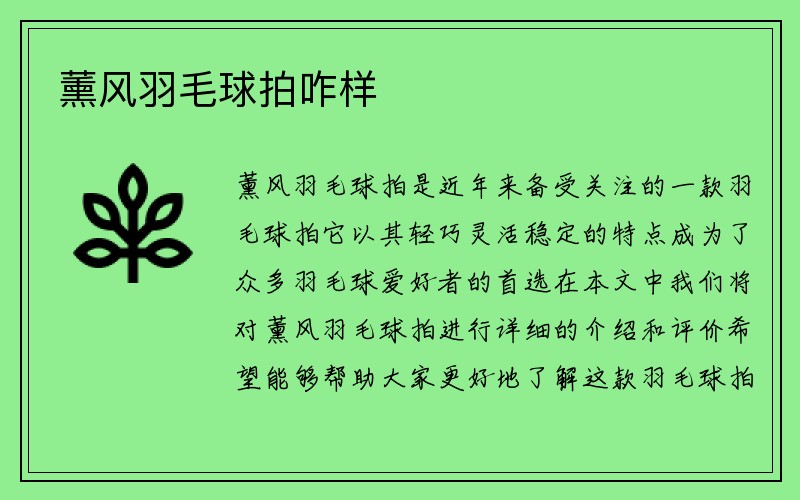 薰风羽毛球拍咋样