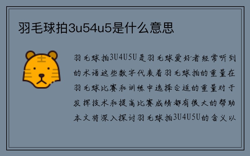 羽毛球拍3u54u5是什么意思